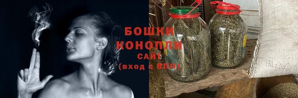 spice Новодвинск