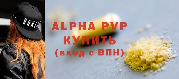 spice Новодвинск