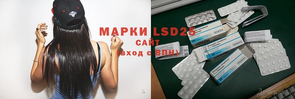 spice Новодвинск