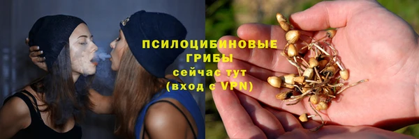 spice Новодвинск