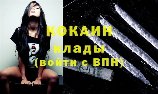 spice Новодвинск
