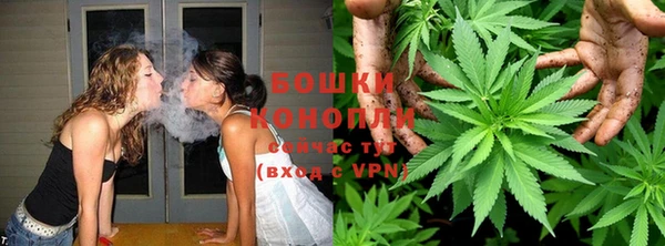 ALPHA-PVP Новозыбков