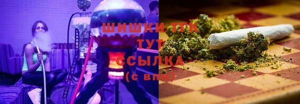 spice Новодвинск