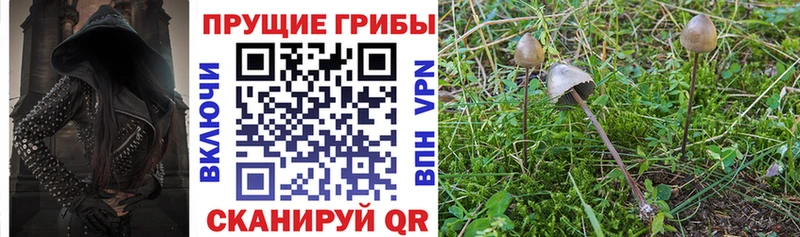Псилоцибиновые грибы Cubensis  darknet наркотические препараты  Бахчисарай 