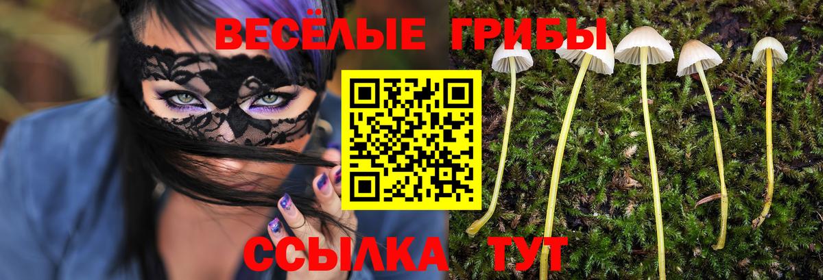 Галлюциногенные грибы мицелий  купить закладку  Бахчисарай  Псилоцибиновые грибы Cubensis 