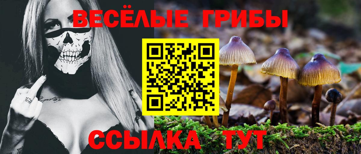 Псилоцибиновые грибы Magic Shrooms  где продают наркотики  Бахчисарай  Псилоцибиновые грибы прущие грибы  Вход с VPN 