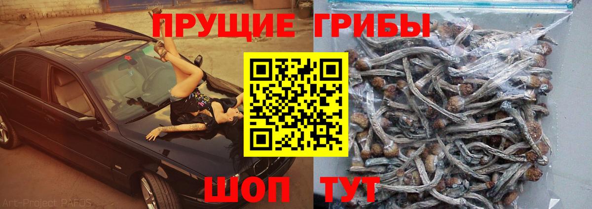 Галлюциногенные грибы Magic Shrooms Бахчисарай